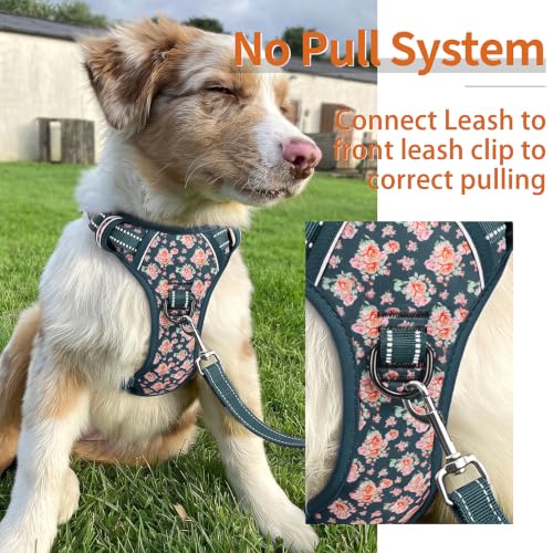 Image of HEELE Dog Harness, Reflective, No Pull No Choke, Flower Blackish Green, S | Front Clip for Small Dog Harness, 2 Metal Rings with Handle, Adjustable, Soft Breathable Padded Pet Vest for Night Walking