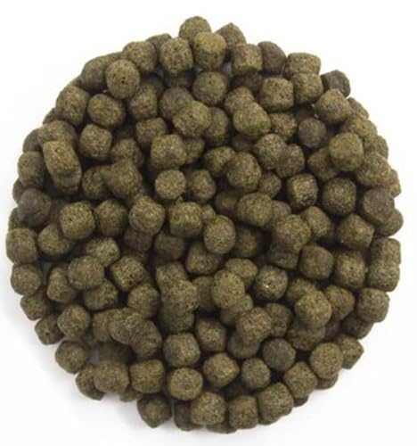 Pet Friend Cichlid Food For Herbivorous Plant And Algae Eating Malawi Mbuna Rift Valley Fish Contains Probiotics Spirulina Omega-3 Flavoured With Insect Meal 3mm Pellets 200g