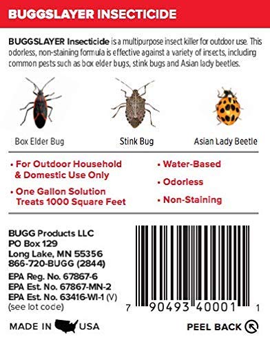 image for BUGGSLAYER Insecticide - Concentrate - Outdoor Box Elder Bugs, Stink B