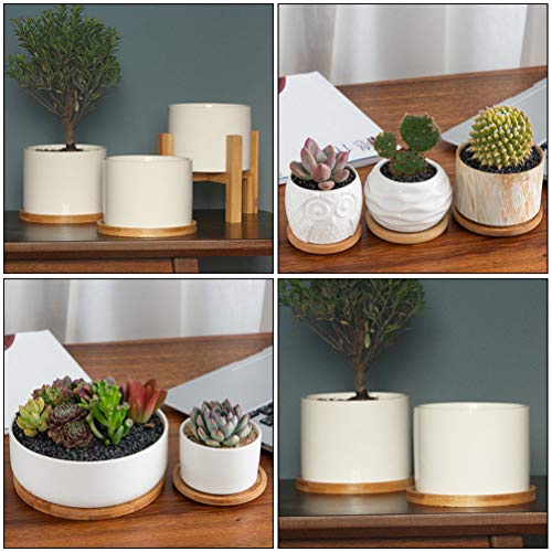 Tehaux – 6 peças de bambu redondo para plantas suculentas, bandeja de drenagem para planta de cacto,