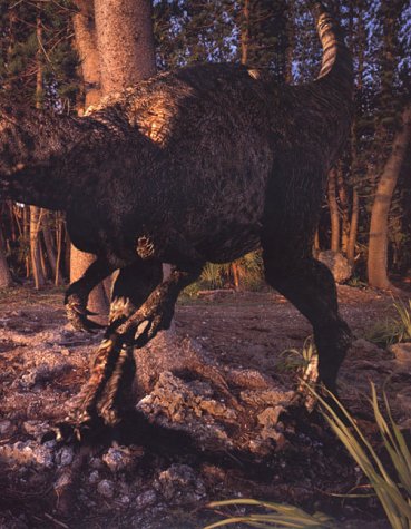 Walking with Dinosaurs: A Natural History - Image 5