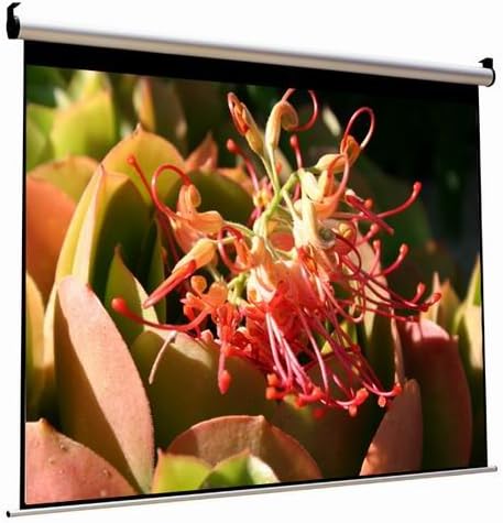 Focupix HDVio 4:3 High Gain Edition Standard Electric Screen-120 Inch-W/ Dual Remote & 12V Trigger