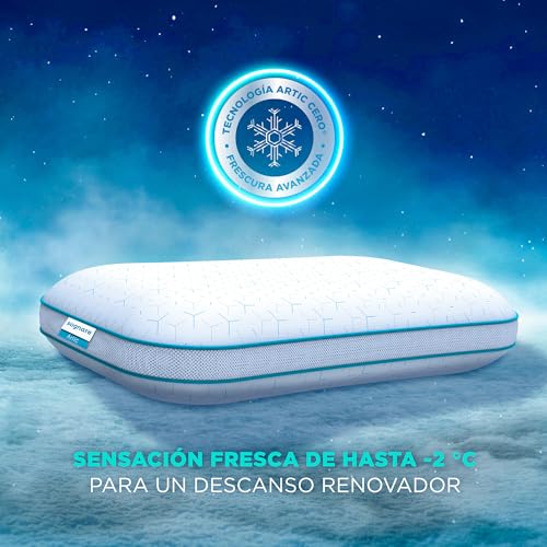 Catálogo de Almohada Sognare Firme disponible en línea para comprar. 26 Imagen adicional
