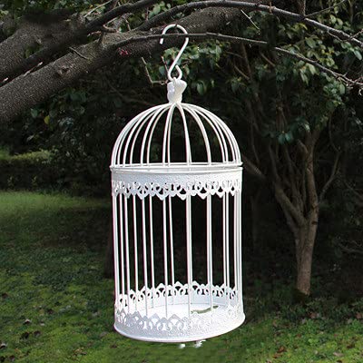 Crysdaralovebi Cage à oiseaux moderne en fer forgé blanc petit milieu ensembles grande cage à oiseaux décoration pot de fleurs plantes succulentes (L)