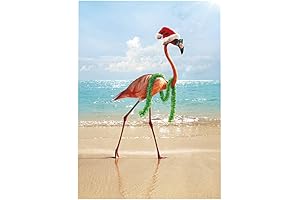 Avanti Christmas Cards Featuring Flamingo on Snowy Beach