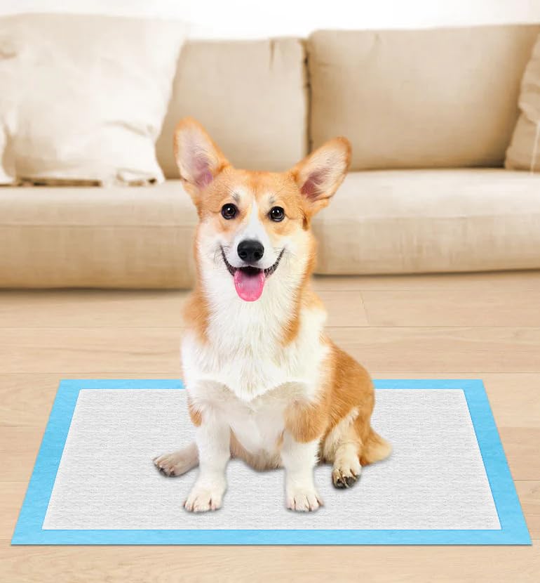 Empapadores Perros Adhesivos Marca Genérico