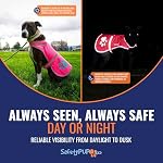 Reflective Dog Vest, Hi Vis Safety Gear for Low-Light Morning & Night Walks - Image 5