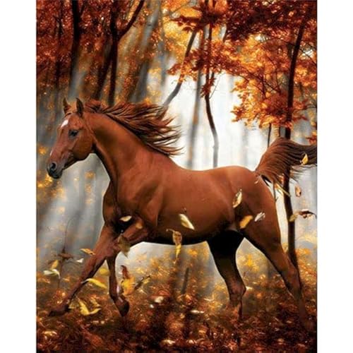 Cuadro al óleo de bricolaje por número Pintura acrílica pintada a mano Animal de caballo sobre lienzo Decoración de pared para el hogar Arte HGH09 40x50cm Cover