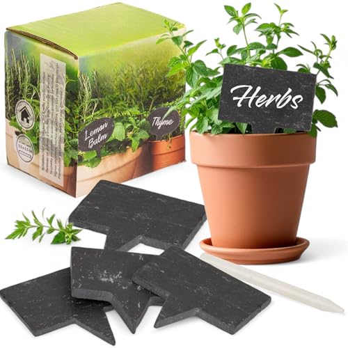 MIJOMA Spina per piante in ardesia, targhette per piante da scrivere, decorazione da giardino riutilizzabile, resistente alle intemperie e robusta (4 pezzi rettangolari (5,5 x 3,5 cm)