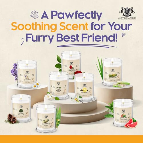 Gerrard Larriett: Velas perfumadas de jasmim feliz para decoração de casa e odores de animais de est
