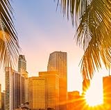 Florida Real Estate Career Accelerator