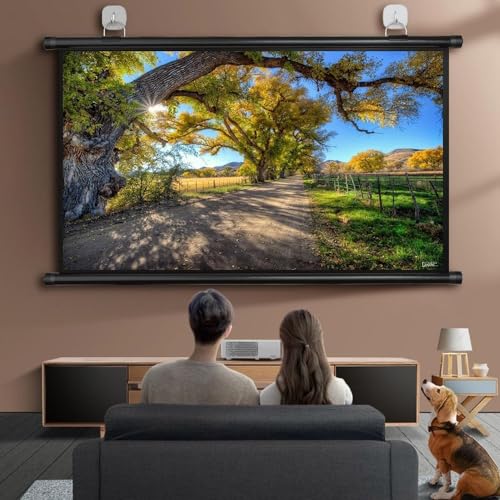 Pantalla de proyector manual 60" 16:9 miniatura 2