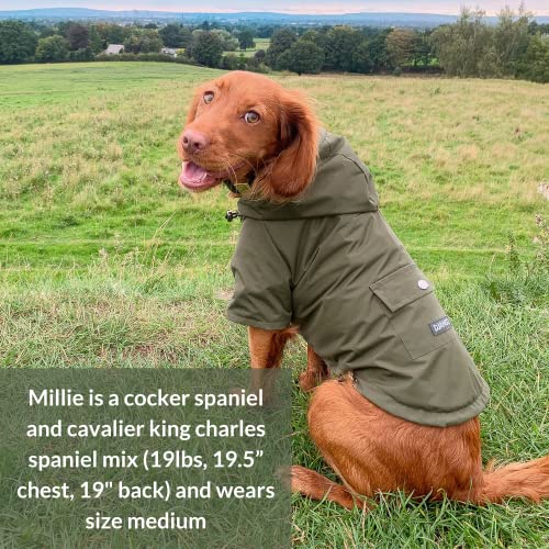 Django Highland Dog Jacket And Raincoat - Water-Repellent, Windproof, And Harness-Friendly Hooded Winter Dog Coat And Raincoat With Adjustable Drawstrings And Gunmetal Hardware (Small, Olive Green) #TOP6
