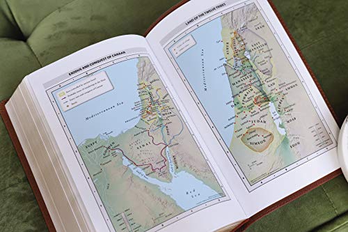 Niv, Personal Size Bible, Large Print, Leathersoft, Brown, Red Letter Edition, Comfort Print: New In