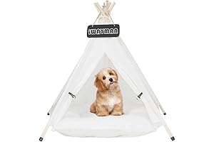 24Inch Mini Teepee Tent for Indoor/Outdoor Fun