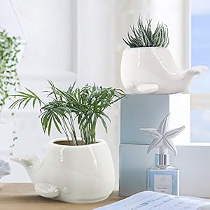 GeLive Set of 2 Whale White Ceramic Succulent Planter Air Plant Pot Window Box Decorative Container 4 Inch Indoor Outdoor Usage