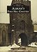 Auburn's Fort Hill Cemetery (NY) (Images of America)
