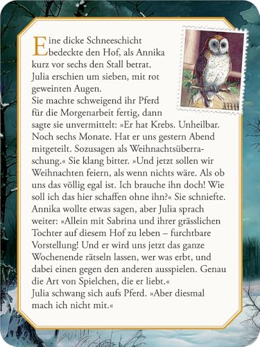 Schachtelspiel - Drei Schüsse und ein Aschenbrödel: Eine moderne Krimigeschichte mit 24 Rätseln zum Kultfilm: Adventskalender für die ganze Familie (Literarische Adventskalender)