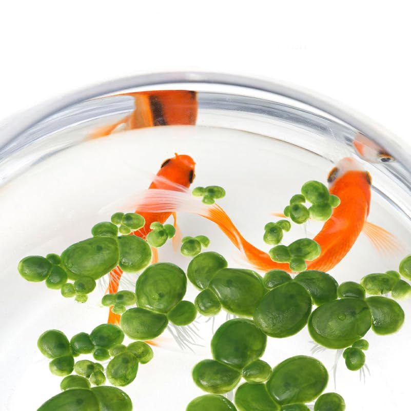 MAGICLULU Floating Artificial Duckweed Aquarium Plants 54Pcs Plastic Rooted Water Plants for Fish Tank Decorations Lifelike Floating Pond Greenery - Image 2