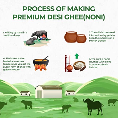 Image of Shahji Premium Buffalo's Desi Ghee Desi Bilona Ghee Noni Ghee Grass fed Murrah Buffalo Traditional Method Improves Bone Health and Digestion (Pack of 1-45.5 ML /50 GMS)