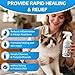 Cat Wound Care Spray - Promotes Wound Healing and Repairs cuts, sores, hot Spots and Irritated Skin - Hypochlorous Acid Formula relieves itching and Irritation, Safe for Licking - 10.14 fl oz