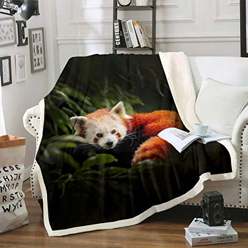 Raccoon Sherpa Blanket Red Panda Plush Blanket Tree Green Leaves Fleece Throw Blanket for Sofa Couch Bed 3D Wild Animal Pattern Fuzzy Blanket Ultra Soft Room Decor Twin 60x80 Inch