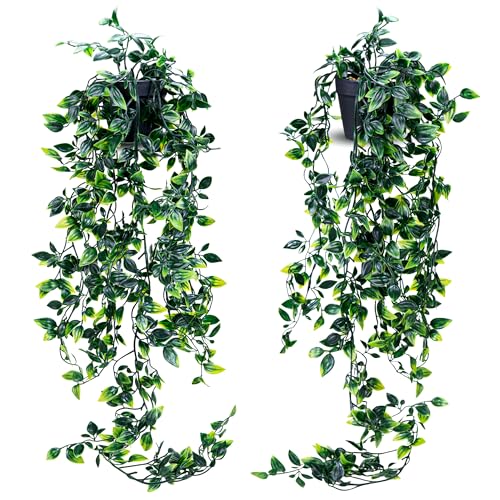 JEY PRODUCTS 2pc Hanging Plant Decorative Artificial Plants in Pots- Small Plastic Fake Plants Indoor with Pot - Eucalyptus Rosemary Succulents Mini Faux Plants for Wall Desk Bedroom Decoration - Cosy Home Interiors JEY PRODUCTS 2pc Hanging Plant Decorative Artificial Plants in Pots- Small Plastic Fake Plants Indoor with Pot - Eucalyptus Rosemary Succulents Mini Faux Plants for Wall Desk Bedroom Decoration