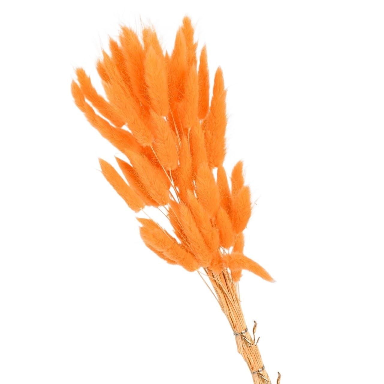 Sztuczna trawa Pampas, Wielokolorowe pampasowe ogony króliczka suszone kwiaty 60 lub 80 szt. Ślub Boże Narodzenie dekoracje dla domu DIY(Meat Pink,60pcs)