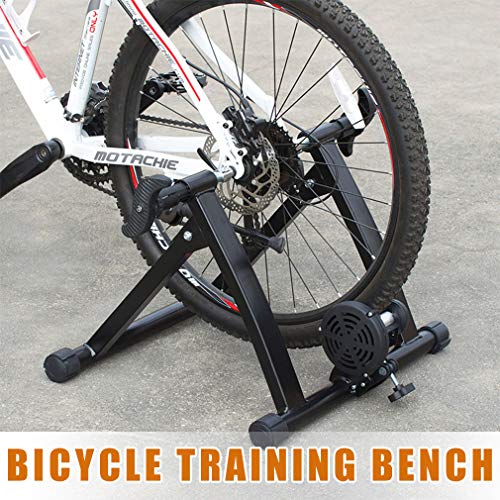 FDW Magnetic Bike Trainer