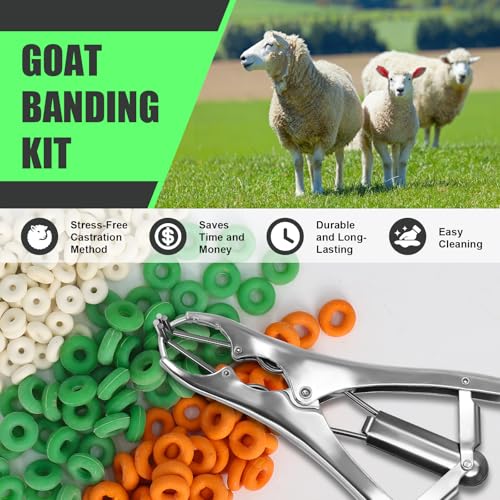 Goat Banding Kit with 200pcs 3-Size Bands