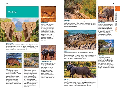 Fodor's Essential South Africa: with the Best Safari Destinations and Wine Regions (Full-color Travel Guide)