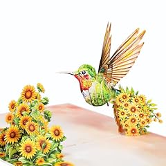 Hummingbird Sunflower