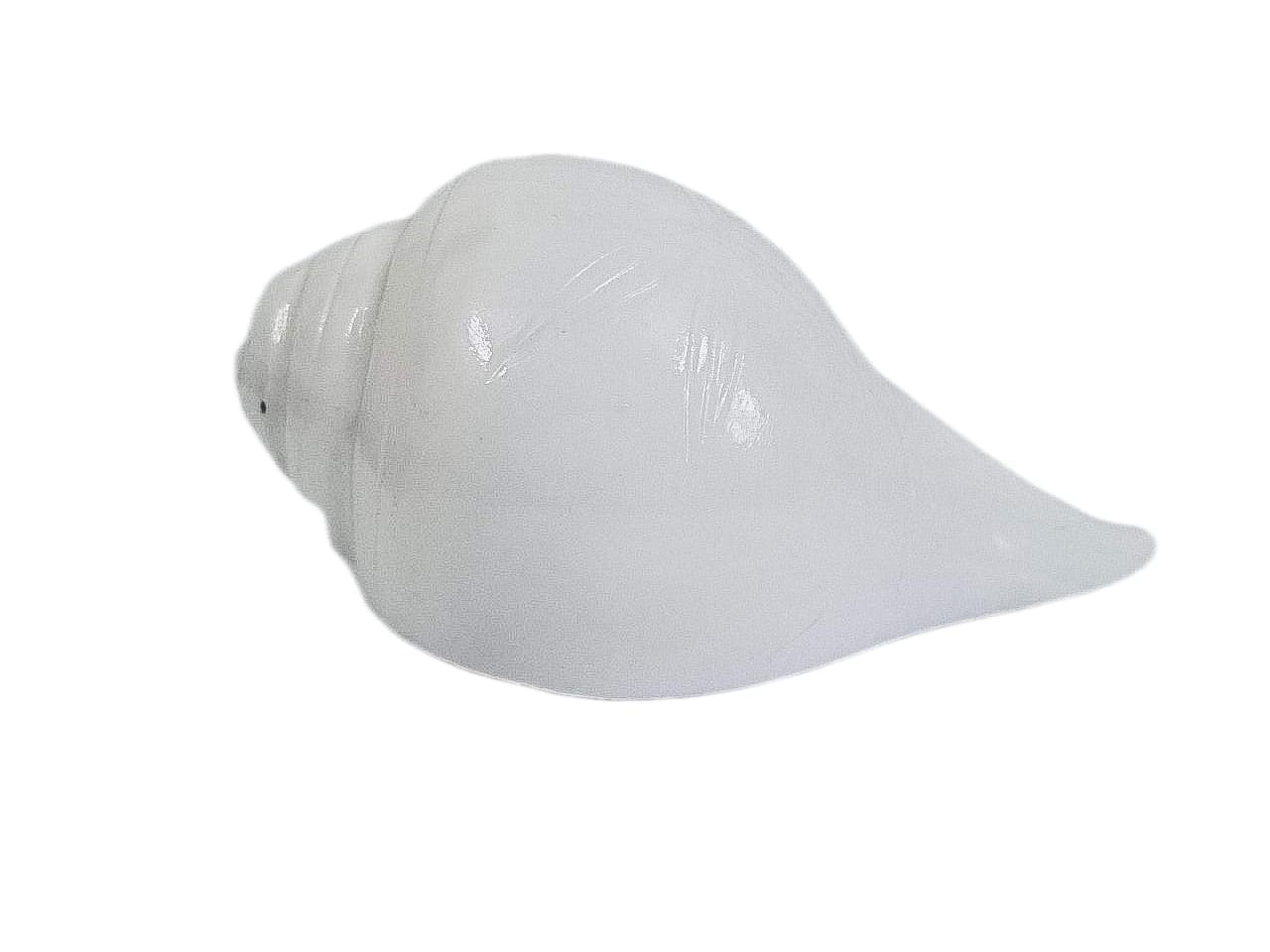 BHAGVATI® Paquete de 1 carcasa VAMAVARTI SHANKH con sonido eco educado (6)