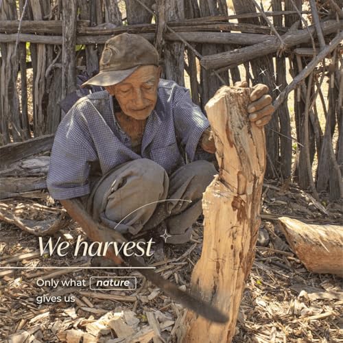 ISPALLA® Original PALO Santo Räucherholz 5 Stück - Nachhaltig & Handgefertigt in Peru, Duftholz für energetische Reinigung, Schutz und Harmonie / 100% natürlich und vegan