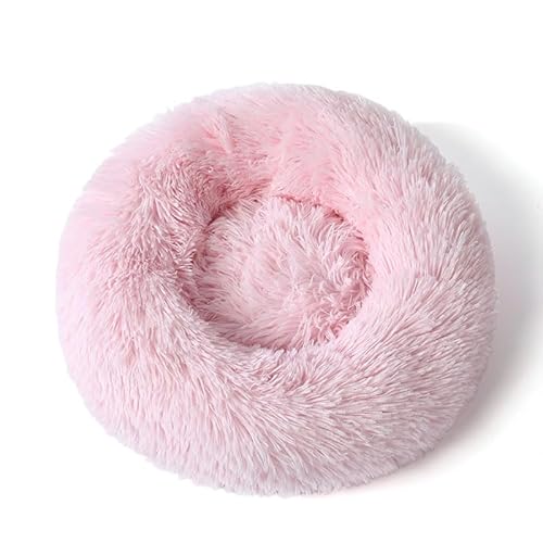 ybgxbh L  NbV ی^ h[icxbh ӂӂ ybg}bg 􂦂 ~ߕt g xbh  ۉ h Lzc _炩 ^ ^ ^ LQ 傫 Lxbh ~p ʋC ˂ lRxbh ΍ 킢