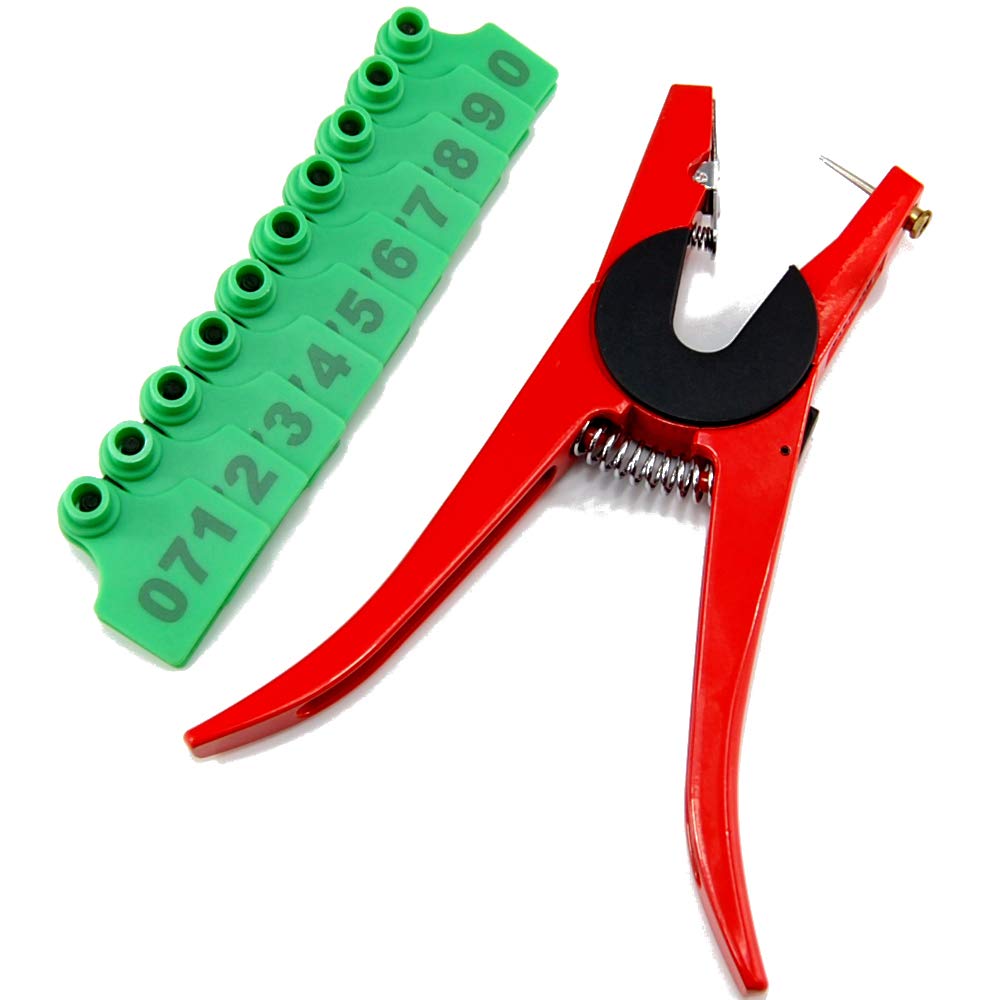 Finicky Fooler Tip Up HT Enterprises Tip-Up Spool | 200 Ft Ice Fishing ...