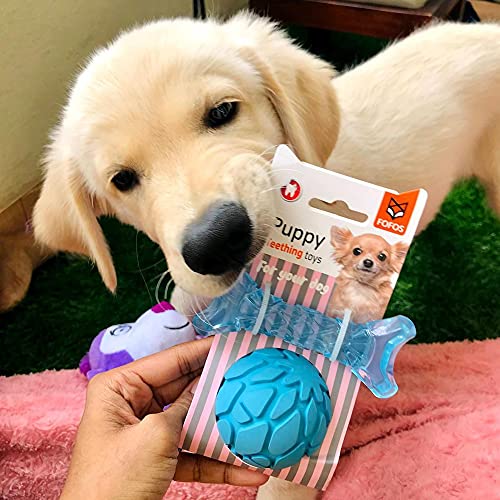 Image of BarkButler x FOFOS Milk Bone & Ball Puppy Teething Toys Set - Puppy Toy Natural Rubber, Squeaky Toys for Dogs, Dog Toys for Medium Dogs (5-20kgs) - Blue