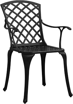 Cast Aluminum Patio Dining Chairs Set of 2, Black Outdoor Chairs with High Backrest and Curved Armrests for Comfortable Seating