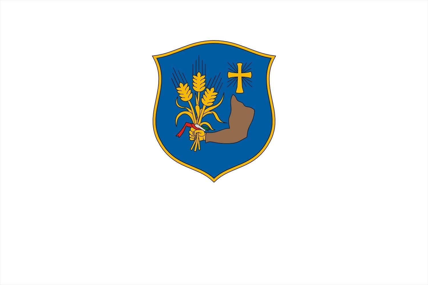 Drapeau Large Szárföld pavillon officiel de grande taille