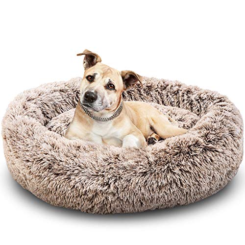 Pet Calming Bed for Dogs and Cats, Fluffy Dog Beds for Medium Small Dogs, Pet Anxiety Bed - Modern Pet Bed - Comfy Cushion & Plush Fur, Donut Dog Bed - Oval Round Dog Bed for Friends, Washable