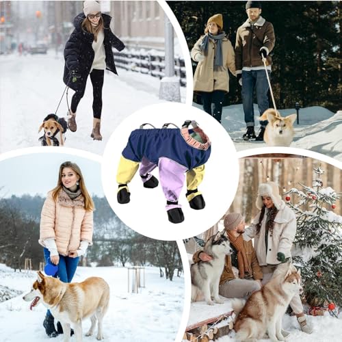 Traje de nieve para perros ideal para excursionismo y paseos de invierno en la montaña 5