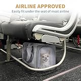 Petsfit Transporttasche Hunde und Katze, Katzentransportbox Hunde Katze Flugtasche für Haustiere im Auto Flugzeug oder in der Bahn