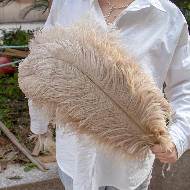 10 Piume Di Struzzo Naturali Rosse, 25-30 Cm - Per Decorazioni Fai Da Te, Acchiappasogni, Costumi E Feste - Foto 7