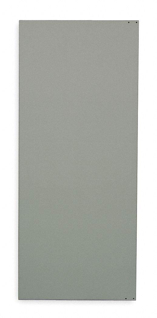 Global PARTITIONS Door, Solid Plastic Polymer, Gray, 24