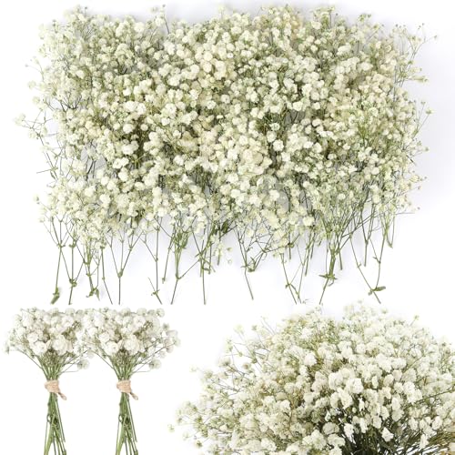 200PCS Mini Dried Baby's Breath Flowers 8000+Pressed White and Green Real Natural Gypsophila Bulk Natural Mini Dried Flowers for Hair Accessory Wedding Wreath Card Making Table Vase Gift Home Decor