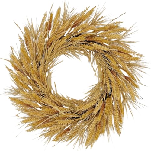 Haute Decor 26 Inch Artificial Harvest Wheat Wreath for Front Door - Large Summer and Fall Faux Wheat Wreath on Natural Grapevine Base