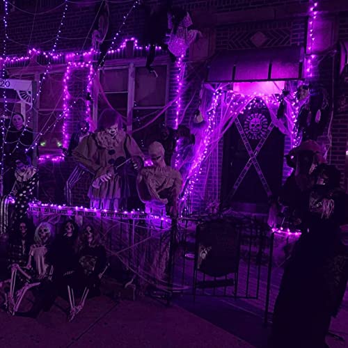Image of Dazzle Bright 2 Pack Halloween Fairy String Lights, Total 80FT 240 LED Solar Powered Fairy Lights with 8 Modes, Waterproof Copper Wire Lights for Outdoor Christmas Yard Party Patio (Purple)