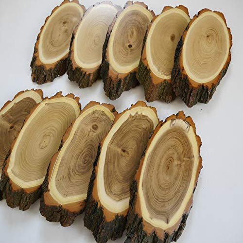 GTK - Geweihe & Trophäen KRUMHOLZ 10 carteles de madera de acacia REH para trofeos grandes de corzo, disco de árbol
