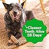 Greenies Veterinarian-Recommended Adult Natural Dental Dog Treats Teenie Size, Dog Dental Chews, Original Flavor, 3 oz. Pack, 11 Count #3