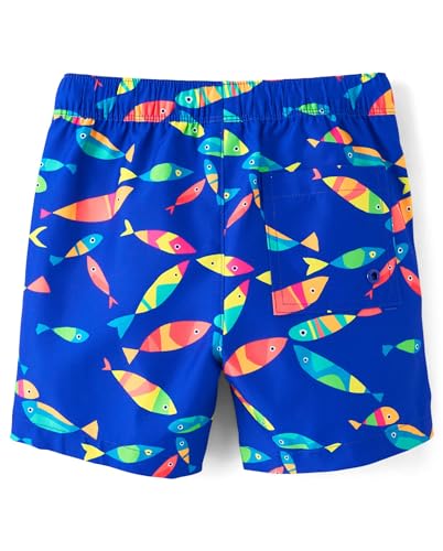 Image of Gymboree Boys and Toddler Swim Trunks